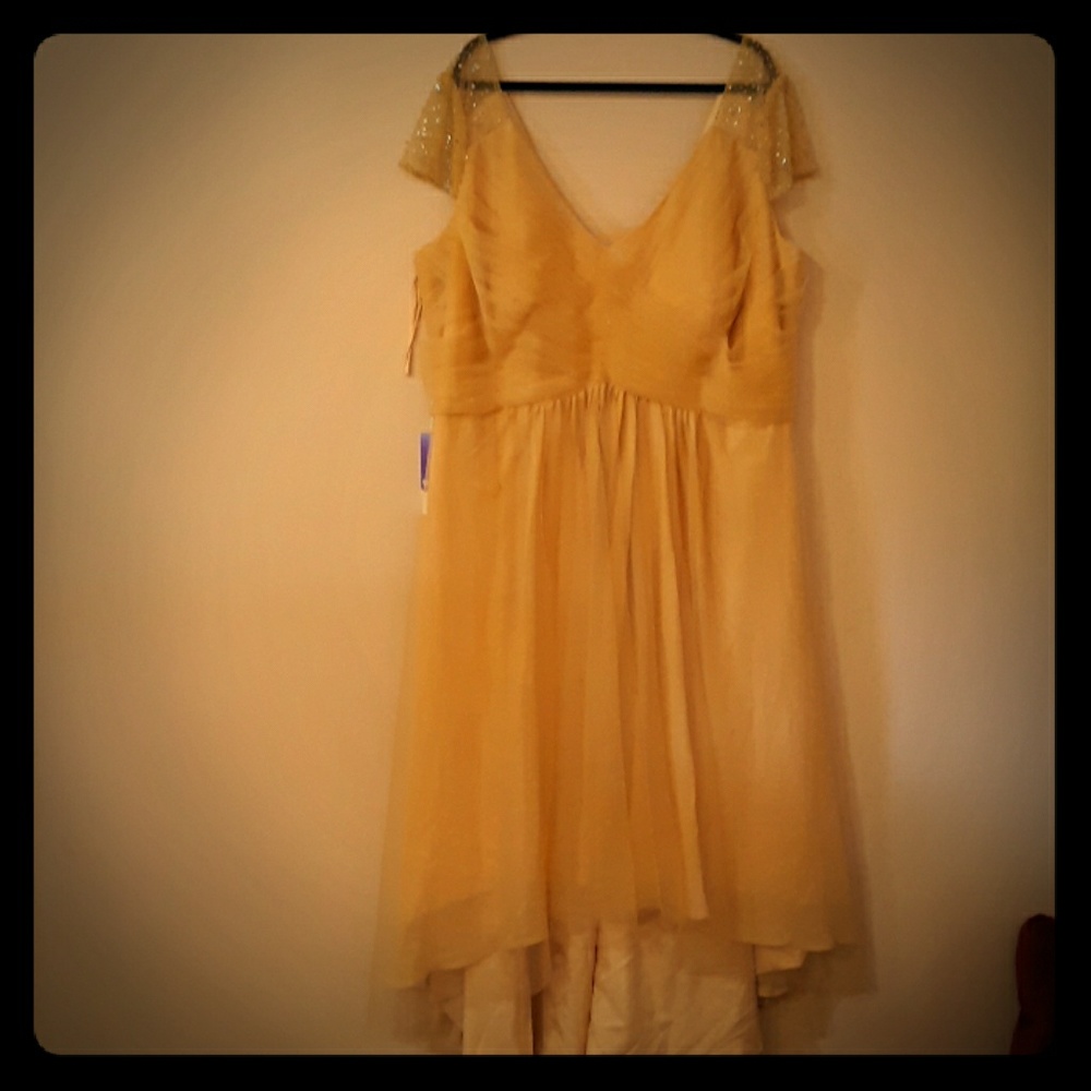 Gold Tulle over Chiffon Dress